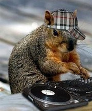 Veverka DJ